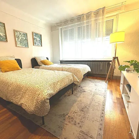 New Cattenom - For Teams & Families - 2 To 5 Beds, 3-min Parking 아파트
