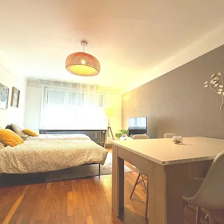 Cattenom 2 A 5 Lits Parking A 3 Min Wi Fi Ideal Equipes Pros Et Familles - 2 To 5 Beds Perfect For Workers And Families 公寓 Hayange