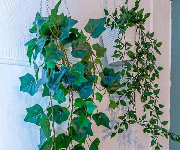 公寓 Cattenom 2 A 5 Lits Parking A 3 Min Wi Fi Ideal Equipes Pros Et Familles - 2 To 5 Beds Perfect For Workers And Families *