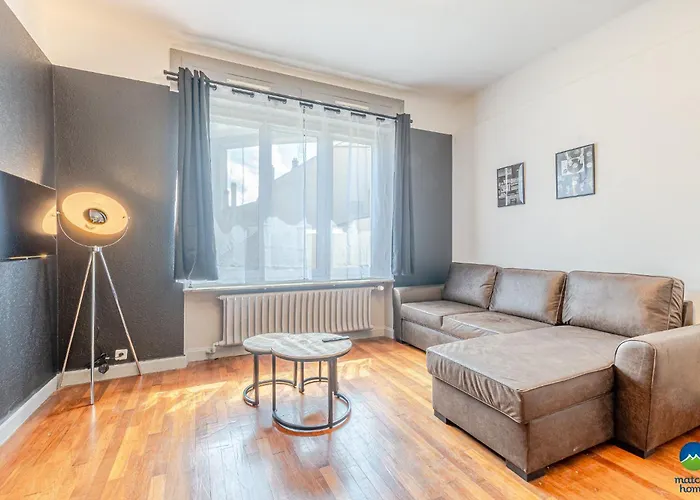 公寓 Cattenom 2 A 5 Lits Parking A 3 Min Wi Fi Ideal Equipes Pros Et Familles - 2 To 5 Beds Perfect For Workers And Families Hayange