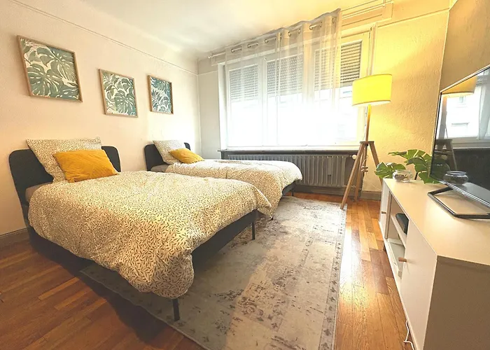 Cattenom 2 A 5 Lits Parking A 3 Min Wi Fi Ideal Equipes Pros Et Familles - 2 To 5 Beds Perfect For Workers And Families 公寓