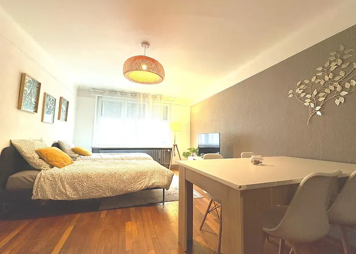 Cattenom 2 A 5 Lits Parking A 3 Min Wi Fi Ideal Equipes Pros Et Familles - 2 To 5 Beds Perfect For Workers And Families 公寓 Hayange